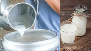 Raw Milk Dangers: Experts Warn of Foodborne Illness, Bacterial Infections, and High-Risk Groups