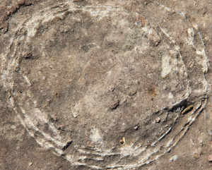 India's Largest Dinosaur Hatchery Uncovered: Sacred Stones Revealed as 70-Million-Year-Old Titanosaur Eggs