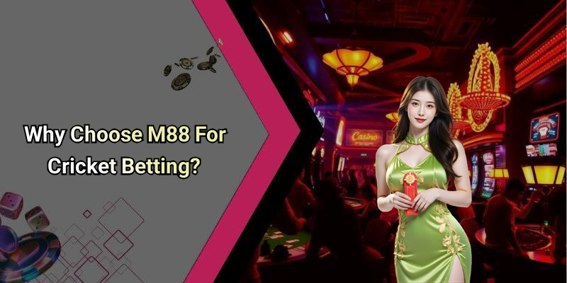 Why Choose M88 For Cricket Betting?