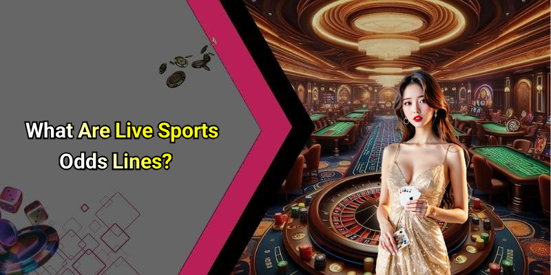What Are Live Sports Odds Lines?