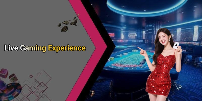 Live Gaming Experience