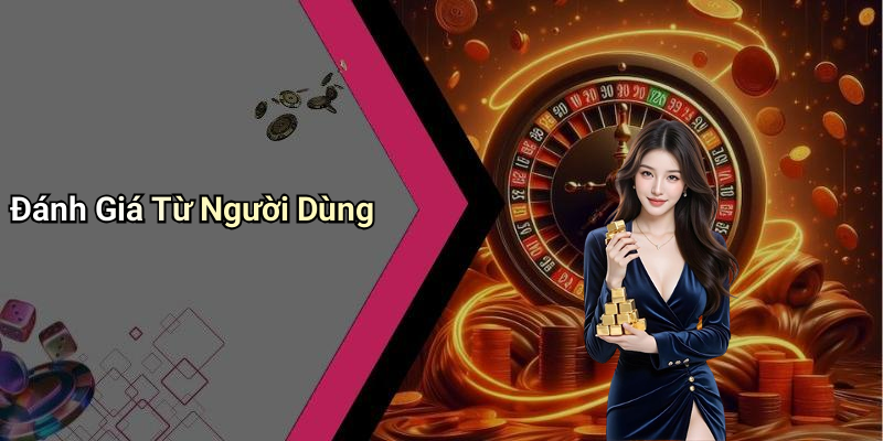 Đánh Giá Từ Người Dùng